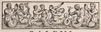 Picture 2 of 51 from Galeni omnia quae extant opera : in latinum sermonem conuersa (1565), leaf 49