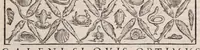An illustration from Galeni omnia quae extant opera : in latinum sermonem conuersa (1565)