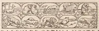 Picture 26 of 51 from Galeni omnia quae extant opera : in latinum sermonem conuersa (1565), leaf 660