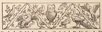 Picture 29 of 51 from Galeni omnia quae extant opera : in latinum sermonem conuersa (1565), leaf 664