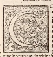 An illustration from Galeni omnia quae extant opera : in latinum sermonem conuersa (1565)