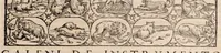 Picture 36 of 51 from Galeni omnia quae extant opera : in latinum sermonem conuersa (1565), leaf 805