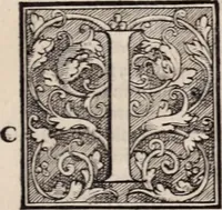An illustration from Galeni omnia quae extant opera : in latinum sermonem conuersa (1565)