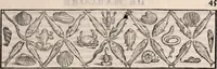 An illustration from Galeni omnia quae extant opera : in latinum sermonem conuersa (1565)