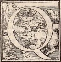 An illustration from Galeni omnia quae extant opera : in latinum sermonem conuersa (1565)