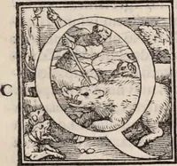 An illustration from Galeni omnia quae extant opera : in latinum sermonem conuersa (1565)