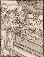 Picture 86 of 129 from Galeni omnia quae extant opera : in latinum sermonem conuersa (1565), leaf 616