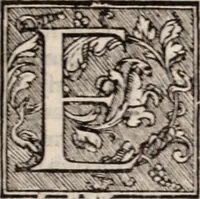 Picture 92 of 129 from Galeni omnia quae extant opera : in latinum sermonem conuersa (1565), leaf 686