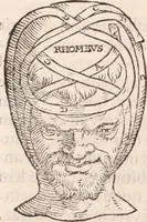 Picture 89 of 246 from Galeni omnia quae extant opera : in latinum sermonem conuersa (1565), leaf 1019