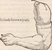 An illustration from Galeni omnia quae extant opera : in latinum sermonem conuersa (1565)