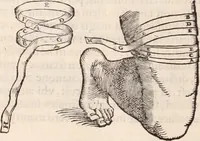 Picture 92 of 246 from Galeni omnia quae extant opera : in latinum sermonem conuersa (1565), leaf 1019