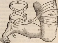 Picture 93 of 246 from Galeni omnia quae extant opera : in latinum sermonem conuersa (1565), leaf 1020