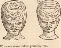 An illustration from Galeni omnia quae extant opera : in latinum sermonem conuersa (1565)