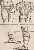 An illustration from Galeni omnia quae extant opera : in latinum sermonem conuersa (1565)