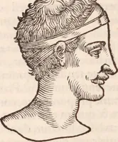 An illustration from Galeni omnia quae extant opera : in latinum sermonem conuersa (1565)