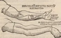 Picture 108 of 246 from Galeni omnia quae extant opera : in latinum sermonem conuersa (1565), leaf 1056