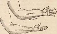 Picture 111 of 246 from Galeni omnia quae extant opera : in latinum sermonem conuersa (1565), leaf 1061