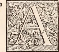 An illustration from Galeni omnia quae extant opera : in latinum sermonem conuersa (1565)
