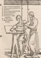 An illustration from Galeni omnia quae extant opera : in latinum sermonem conuersa (1565)