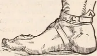 Picture 116 of 246 from Galeni omnia quae extant opera : in latinum sermonem conuersa (1565), leaf 1077