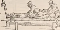 An illustration from Galeni omnia quae extant opera : in latinum sermonem conuersa (1565)