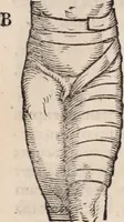 An illustration from Galeni omnia quae extant opera : in latinum sermonem conuersa (1565)