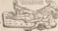 An illustration from Galeni omnia quae extant opera : in latinum sermonem conuersa (1565)
