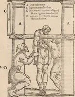 An illustration from Galeni omnia quae extant opera : in latinum sermonem conuersa (1565)