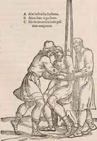 An illustration from Galeni omnia quae extant opera : in latinum sermonem conuersa (1565)