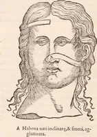 Picture 147 of 246 from Galeni omnia quae extant opera : in latinum sermonem conuersa (1565), leaf 1143