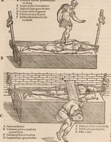 An illustration from Galeni omnia quae extant opera : in latinum sermonem conuersa (1565)