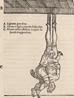 An illustration from Galeni omnia quae extant opera : in latinum sermonem conuersa (1565)