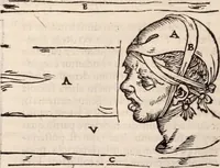 An illustration from Galeni omnia quae extant opera : in latinum sermonem conuersa (1565)