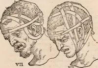 An illustration from Galeni omnia quae extant opera : in latinum sermonem conuersa (1565)