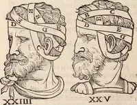 An illustration from Galeni omnia quae extant opera : in latinum sermonem conuersa (1565)