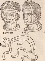 An illustration from Galeni omnia quae extant opera : in latinum sermonem conuersa (1565)