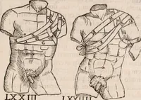 Picture 194 of 246 from Galeni omnia quae extant opera : in latinum sermonem conuersa (1565), leaf 1210