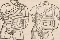 An illustration from Galeni omnia quae extant opera : in latinum sermonem conuersa (1565)