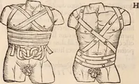 An illustration from Galeni omnia quae extant opera : in latinum sermonem conuersa (1565)