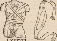 An illustration from Galeni omnia quae extant opera : in latinum sermonem conuersa (1565)