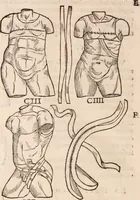 An illustration from Galeni omnia quae extant opera : in latinum sermonem conuersa (1565)