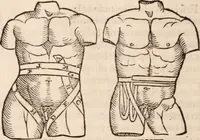 An illustration from Galeni omnia quae extant opera : in latinum sermonem conuersa (1565)