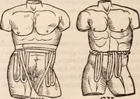 An illustration from Galeni omnia quae extant opera : in latinum sermonem conuersa (1565)