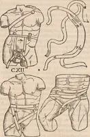 An illustration from Galeni omnia quae extant opera : in latinum sermonem conuersa (1565)