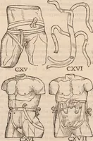Picture 209 of 246 from Galeni omnia quae extant opera : in latinum sermonem conuersa (1565), leaf 1216