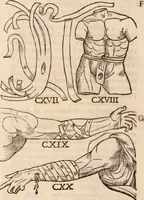 An illustration from Galeni omnia quae extant opera : in latinum sermonem conuersa (1565)