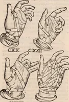 An illustration from Galeni omnia quae extant opera : in latinum sermonem conuersa (1565)