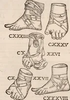 An illustration from Galeni omnia quae extant opera : in latinum sermonem conuersa (1565)