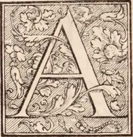 An illustration from Galeni omnia quae extant opera : in latinum sermonem conuersa (1565)