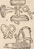 An illustration from Galeni omnia quae extant opera : in latinum sermonem conuersa (1565)